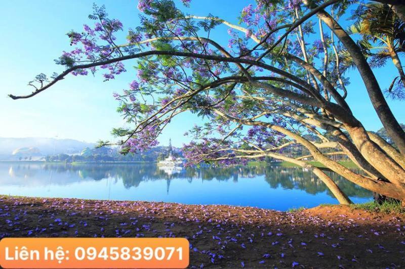 Khach San Da Lat View - Villa Da Lat Zewnętrze zdjęcie